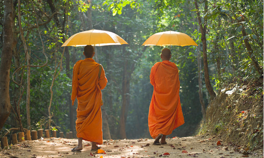 Ancora la porti in braccio? Una breve storia Zen