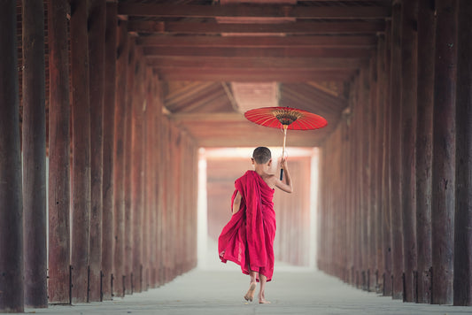 ANAGARIKA: VIVERE CON LA RINUNCIA